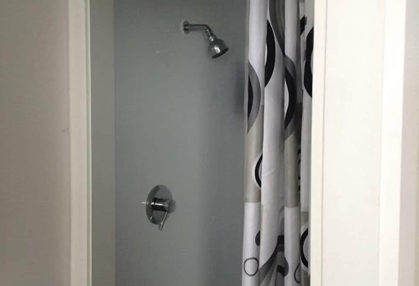 فندق صغير Downtown Backpackers & Accommodation