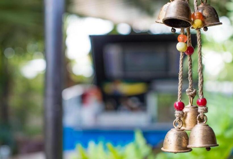 호스텔 Tsumeb Backpackers & Safari