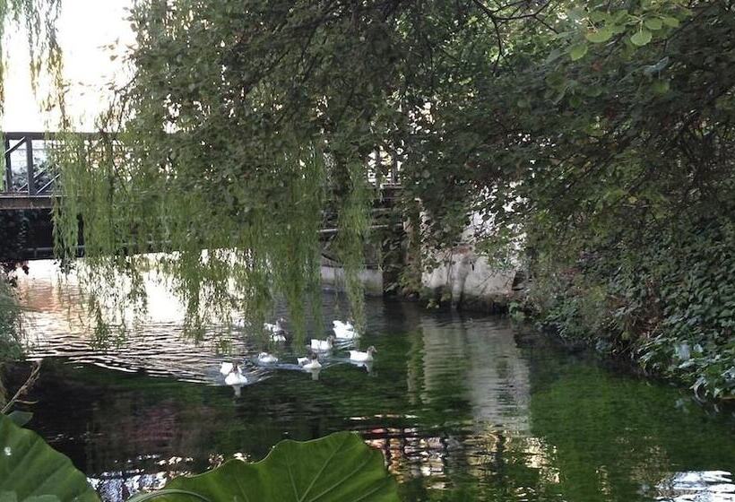 Asterias Studios & Apartments