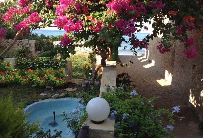 Asterias Studios & Apartments