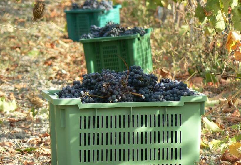 צימר Pessighette Dimora Di Campagna