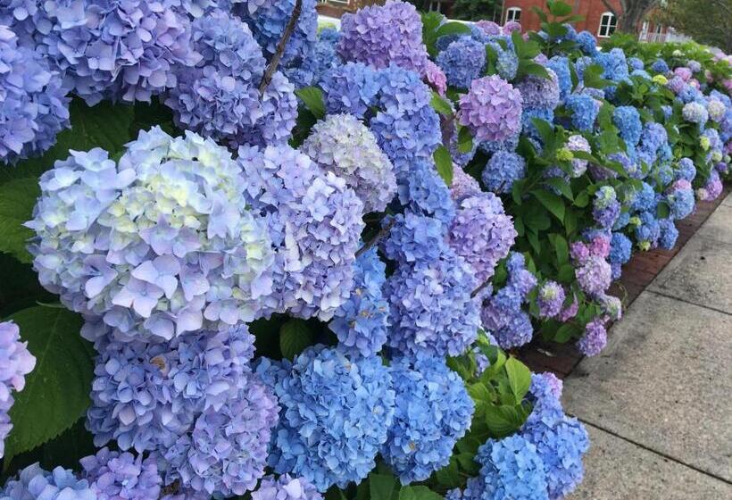 צימר Frederick William House