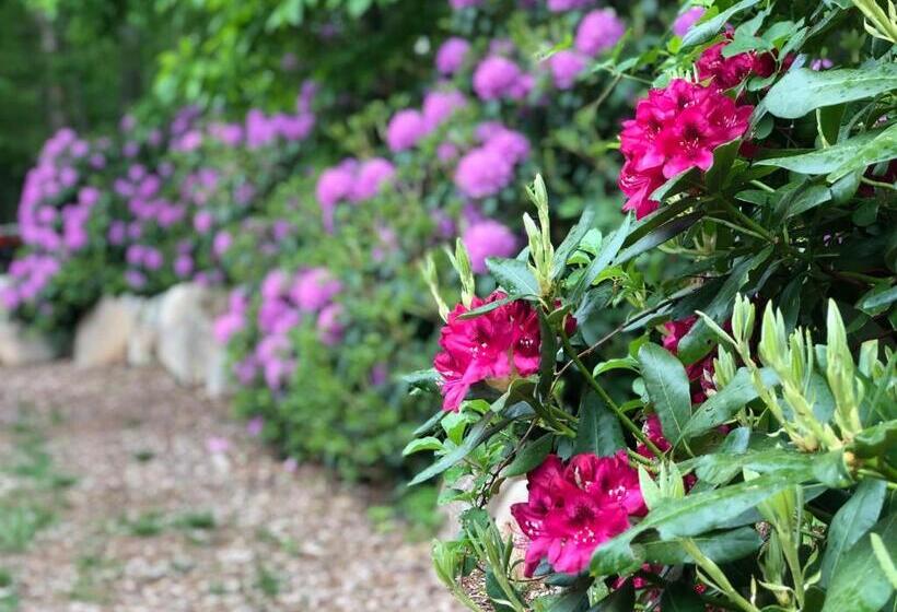 צימר Frederick William House