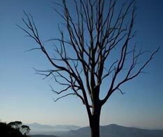 مبيت وإفطار Kings Walden Garden Manor