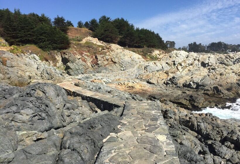 ベッドアンドブレックファースト Lofts Casa El Pangue Zapallar