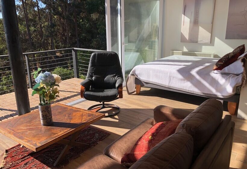 مبيت وإفطار Lofts Casa El Pangue Zapallar