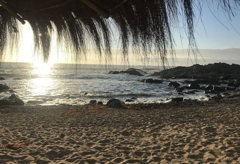 ベッドアンドブレックファースト Lofts Casa El Pangue Zapallar