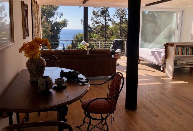 مبيت وإفطار Lofts Casa El Pangue Zapallar