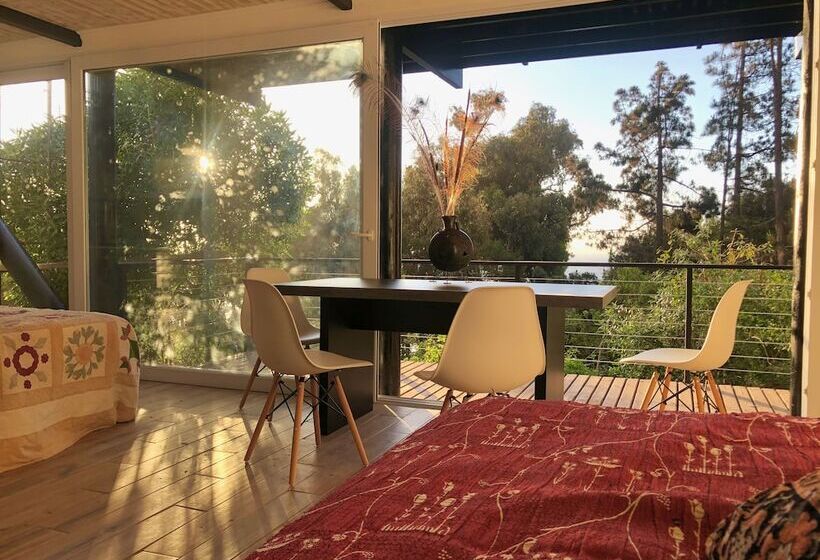 ベッドアンドブレックファースト Lofts Casa El Pangue Zapallar