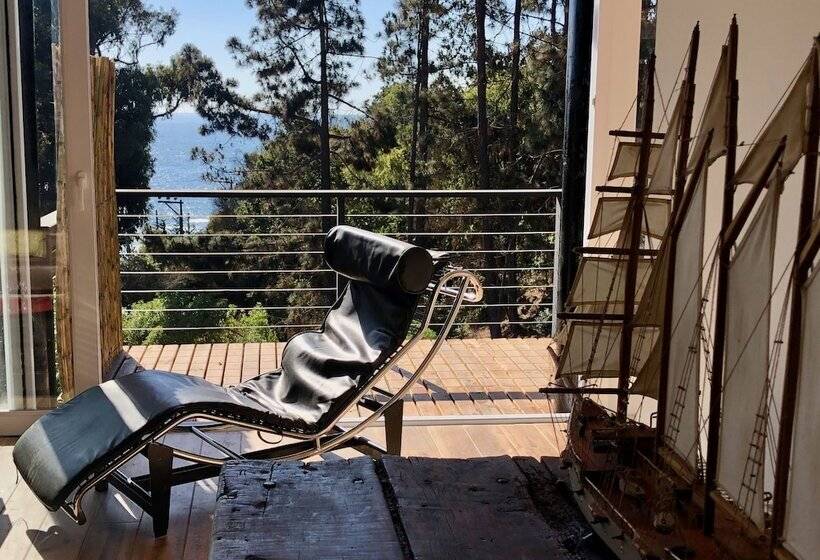 مبيت وإفطار Lofts Casa El Pangue Zapallar