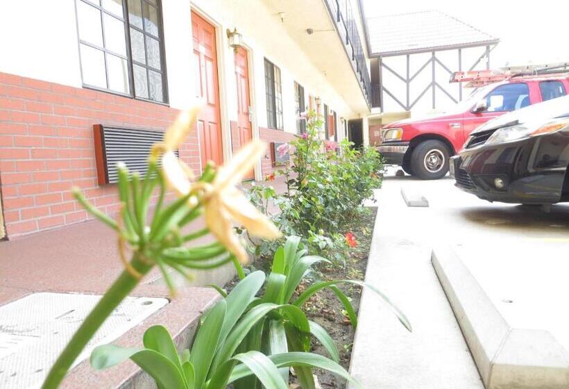 Executive Suites Inn