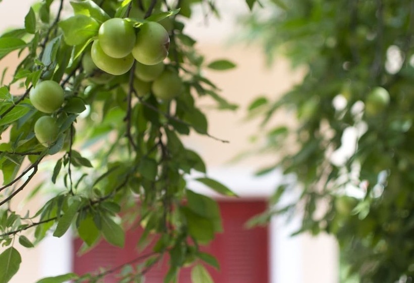 Flower Pot Complex Aparts & Studios!