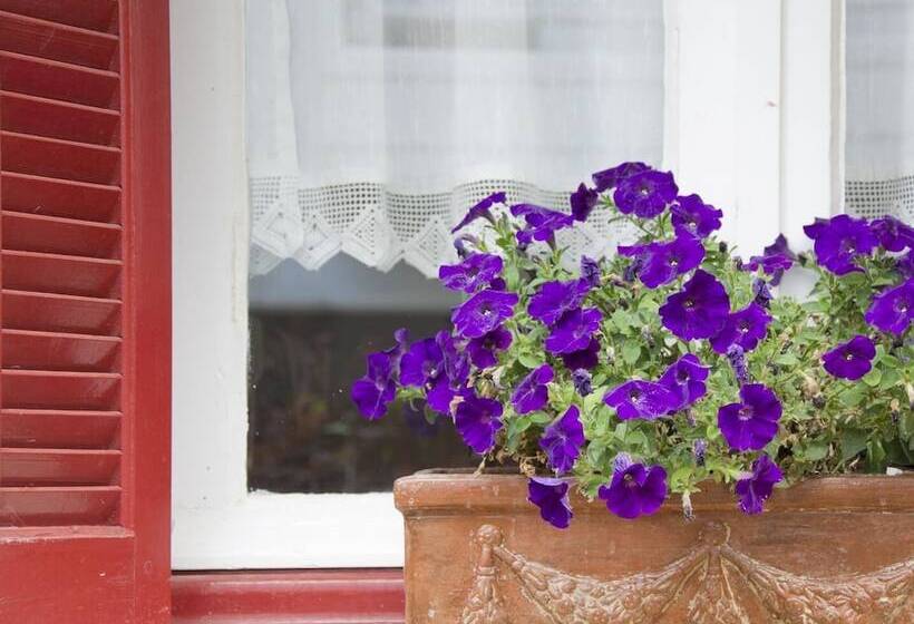 Flower Pot Complex Aparts & Studios!