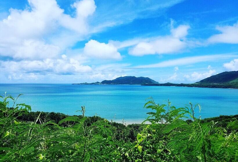 Guesthouse Ho Aloha Hostel