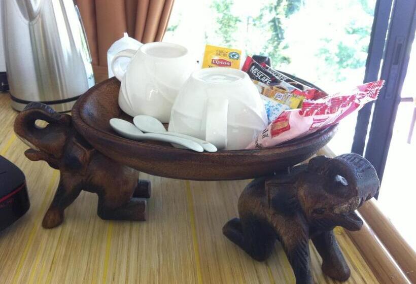 בית מלון כפרי Changpai Hill