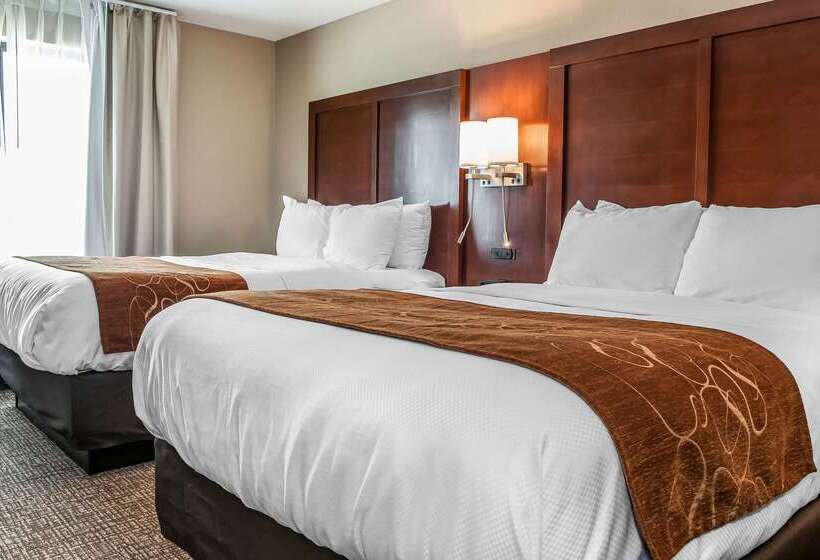 فندق Comfort Suites Rensselaer Near Fair Oaks