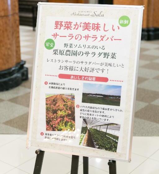 בית מלון כפרי Crystal Palace