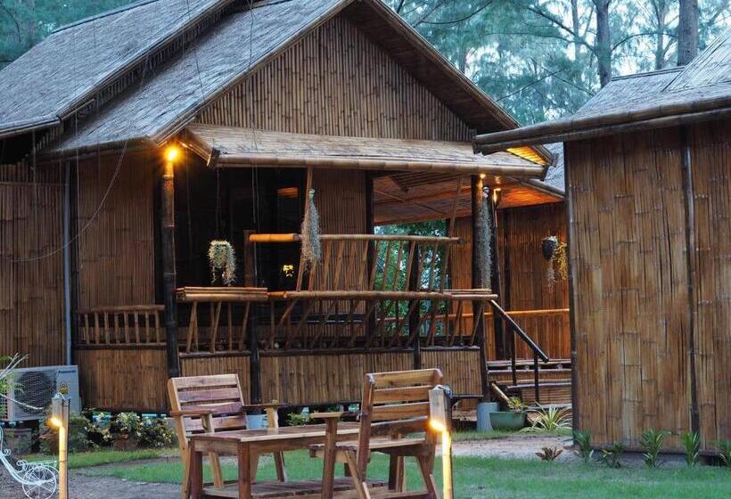 Отель Eco Lanta Hideaway Beach Resort