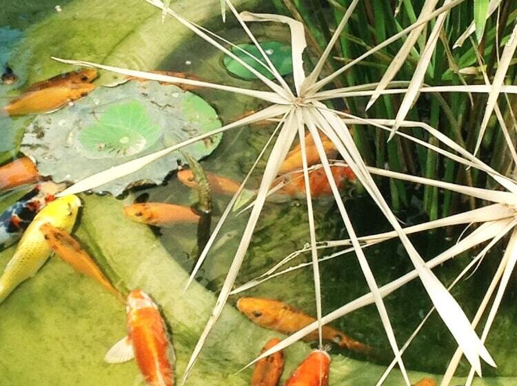 فندق Green Empire Resort