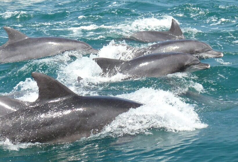 בית מלון כפרי Obama Onsen Hamakan