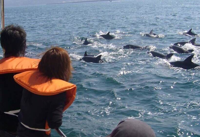 فندق Obama Onsen Hamakan