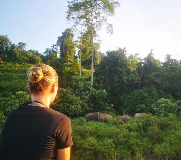 فندق Holiday View Inn Taman Negara