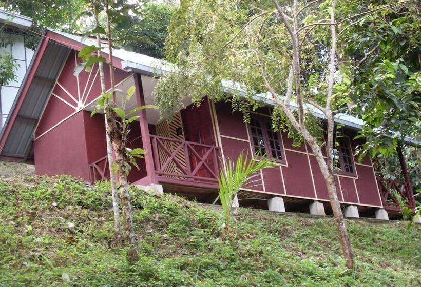 فندق Holiday View Inn Taman Negara