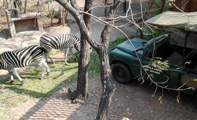 ホテル Jabula Lodge