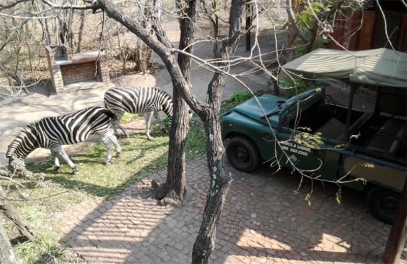 ホテル Jabula Lodge