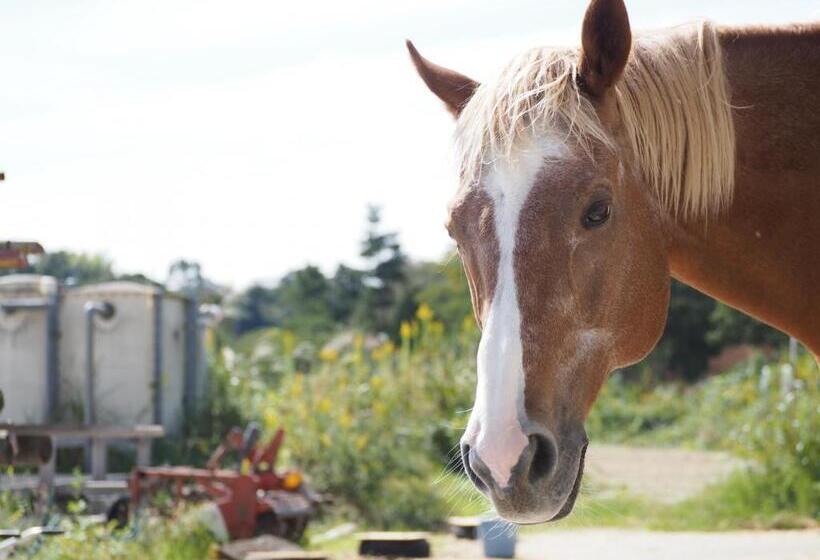 Отель Kirishima Kanko