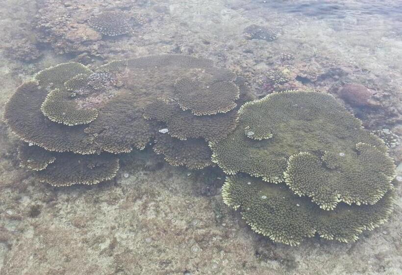 فندق Minshuku Myojoso