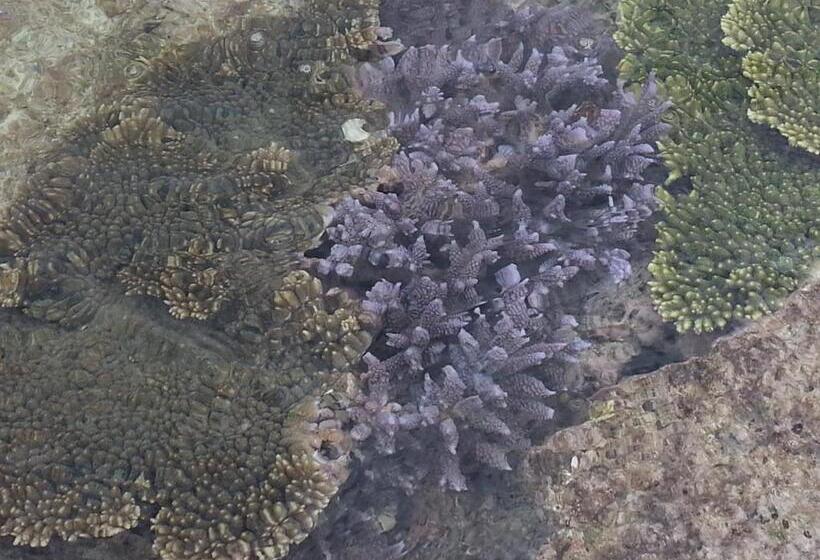 فندق Minshuku Myojoso