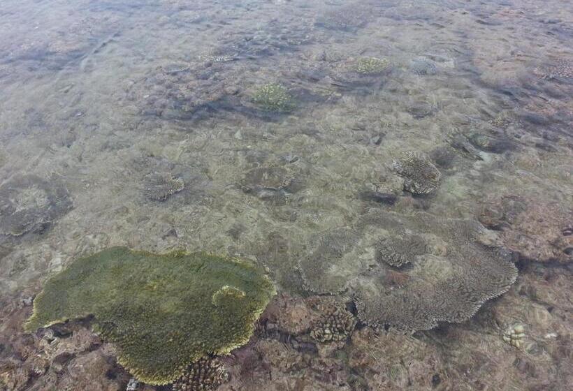 فندق Minshuku Myojoso