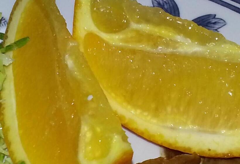 فندق Minshuku Myojoso