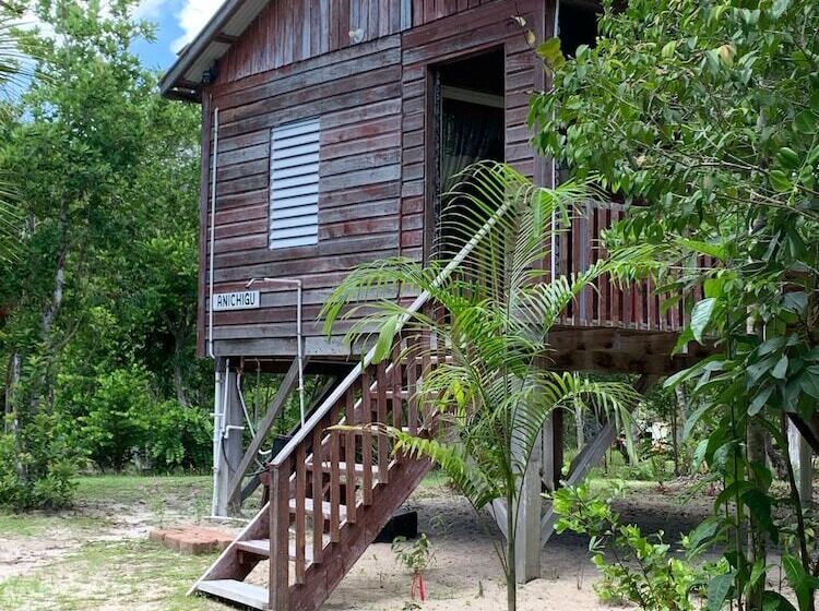 בית מלון כפרי Palmento Grove Garifuna Eco Cultural & Healing Institute