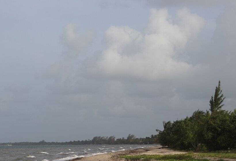 בית מלון כפרי Palmento Grove Garifuna Eco Cultural & Healing Institute