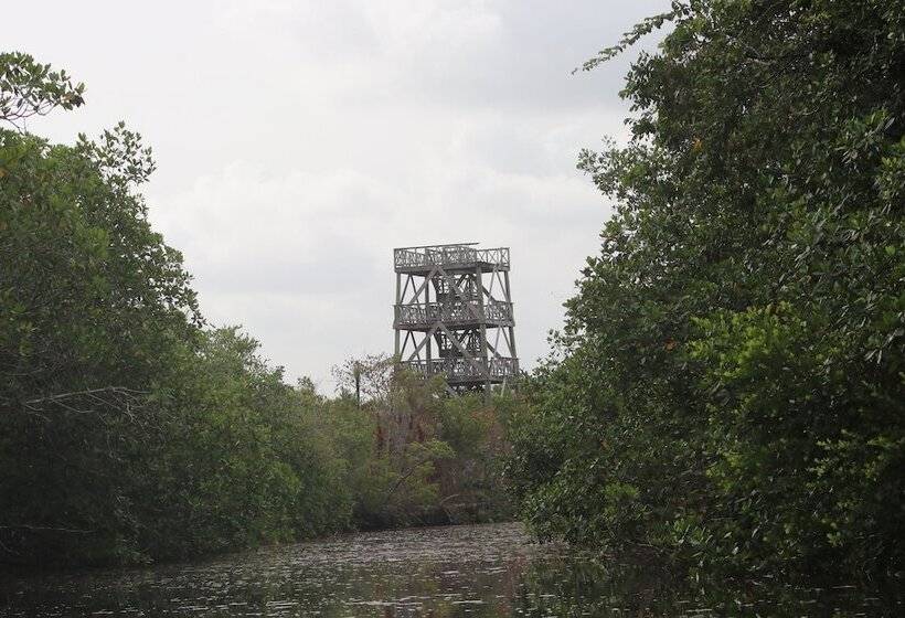 בית מלון כפרי Palmento Grove Garifuna Eco Cultural & Healing Institute