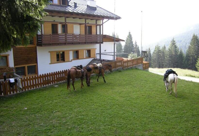 酒店 Piccolo Pocol