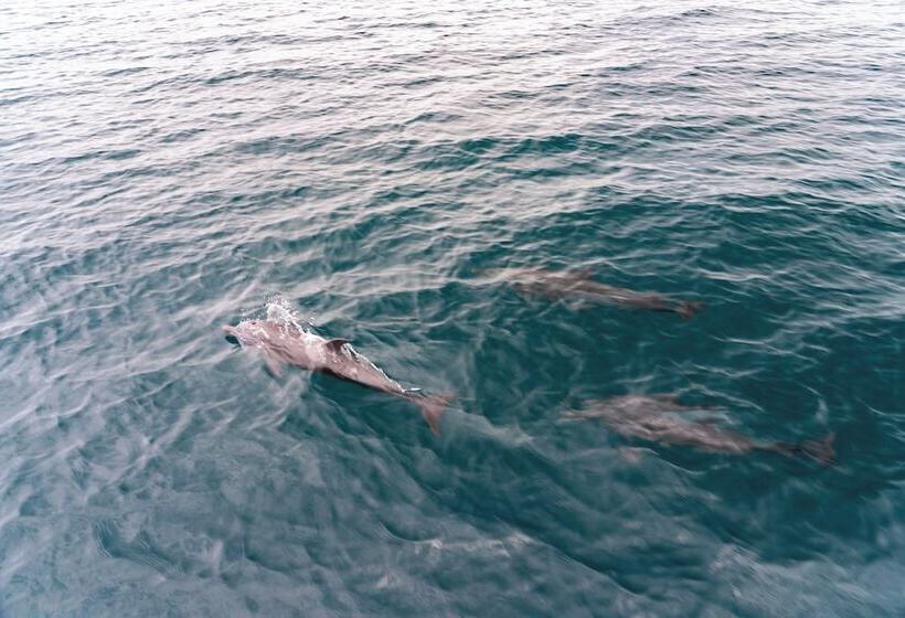 בית מלון כפרי Playa Cativo Lodge