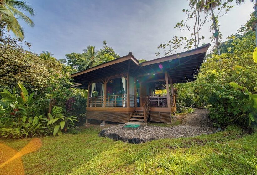 בית מלון כפרי Playa Cativo Lodge