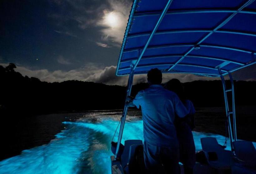 בית מלון כפרי Playa Cativo Lodge