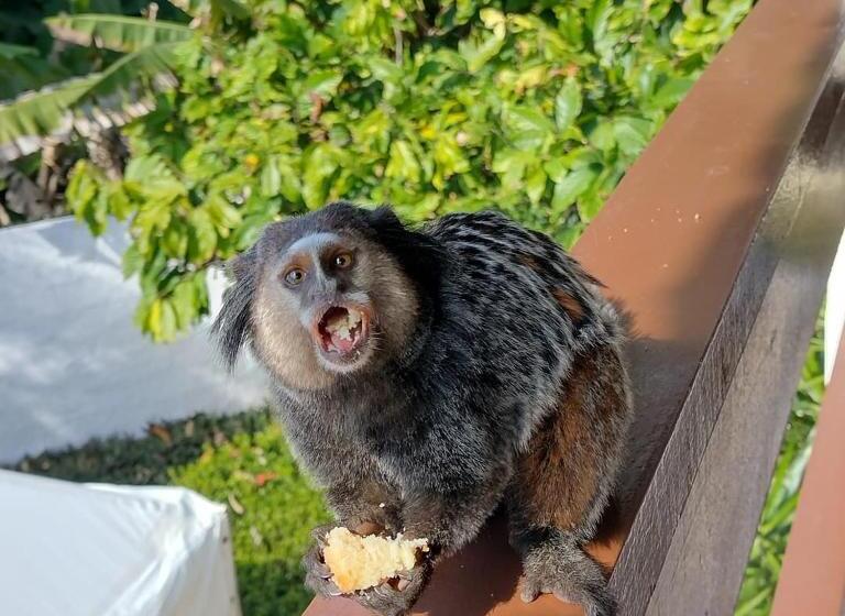 ホテル Pousada Aldeia Mar