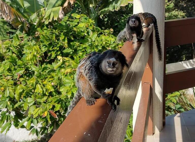 ホテル Pousada Aldeia Mar