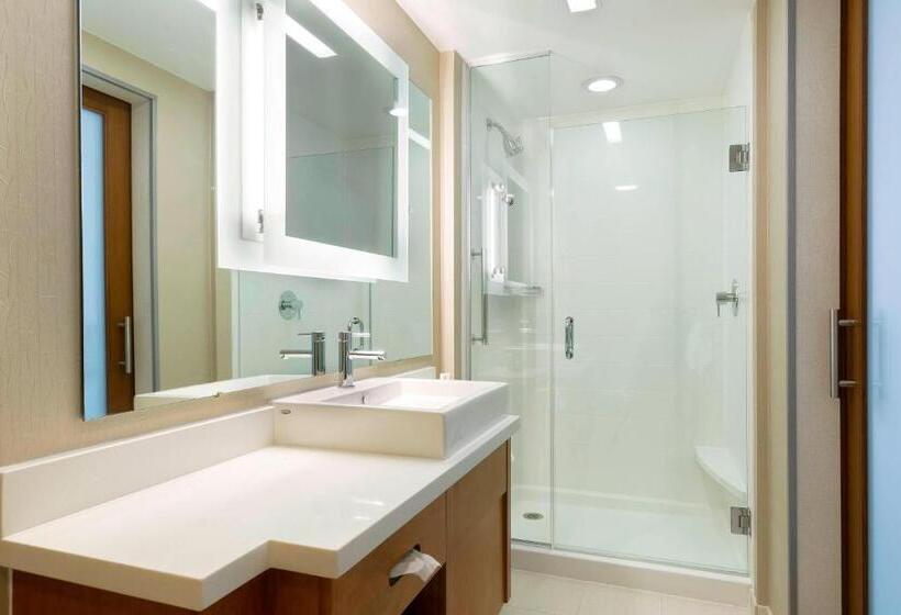 Отель Springhill Suites Orange Beach At The Wharf