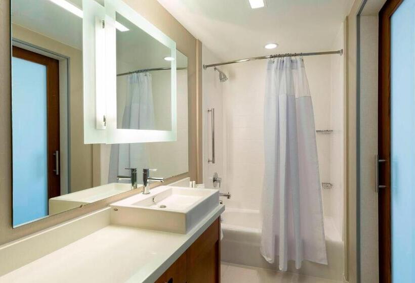 Отель Springhill Suites Orange Beach At The Wharf