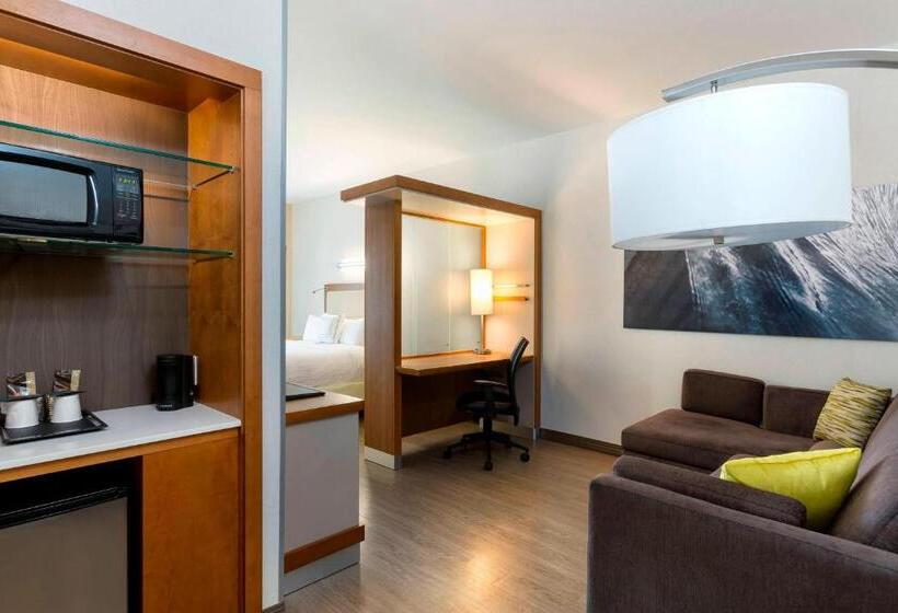 Отель Springhill Suites Orange Beach At The Wharf