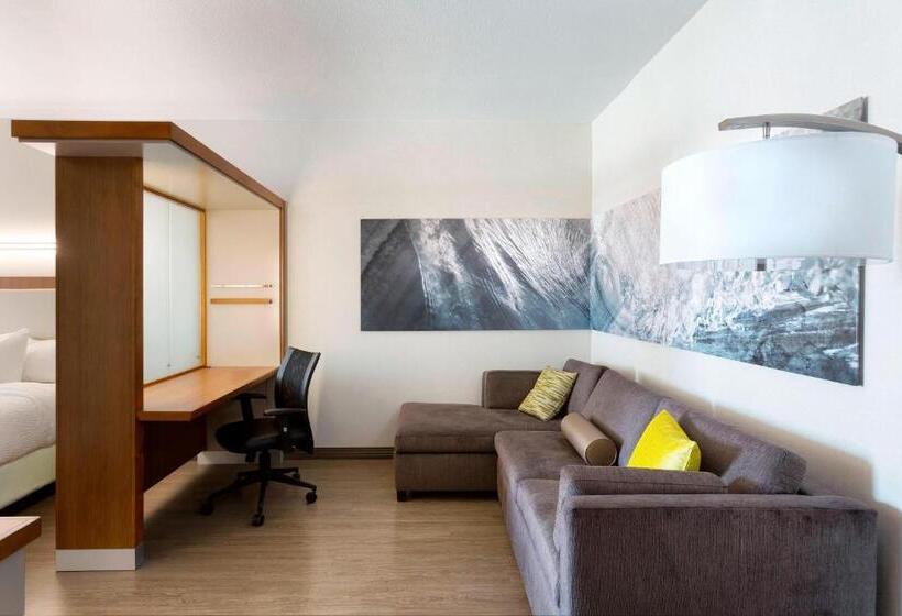 Отель Springhill Suites Orange Beach At The Wharf