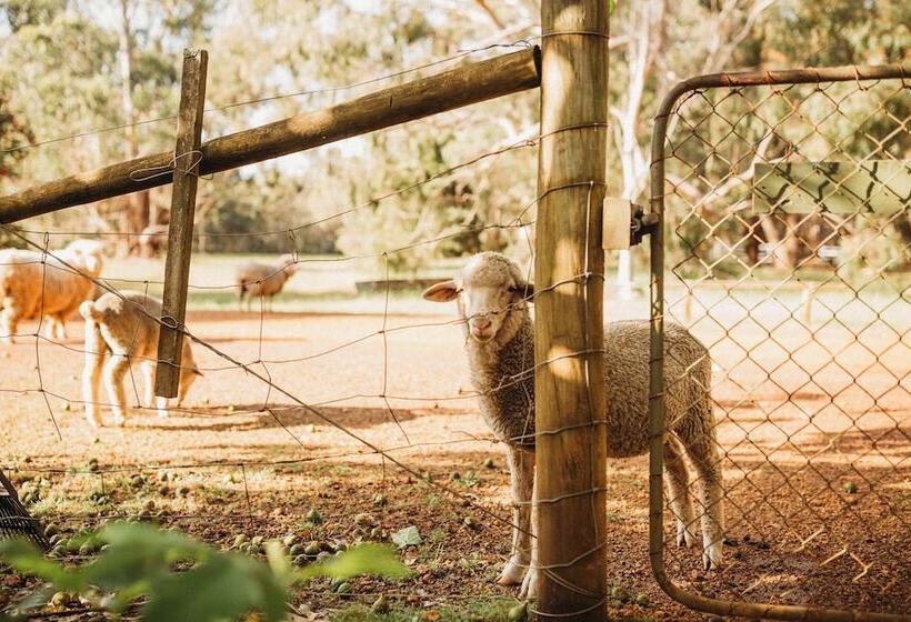Margaret River Holiday Cottages