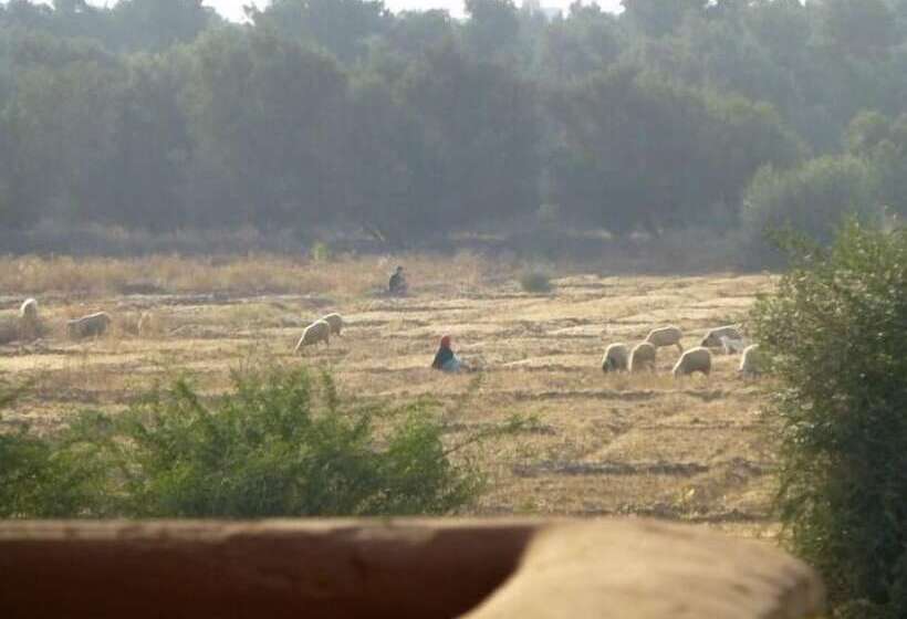 پانسیون Palais Mandarine