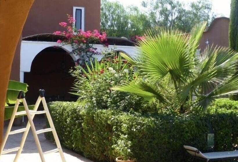 پانسیون Palais Mandarine